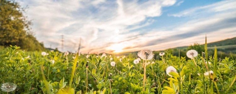 How to Get Started with DataOps